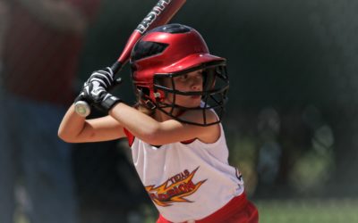 Book: Take Me Out to the Ballgame