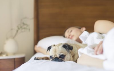 8 Strategies For Quality Sleep