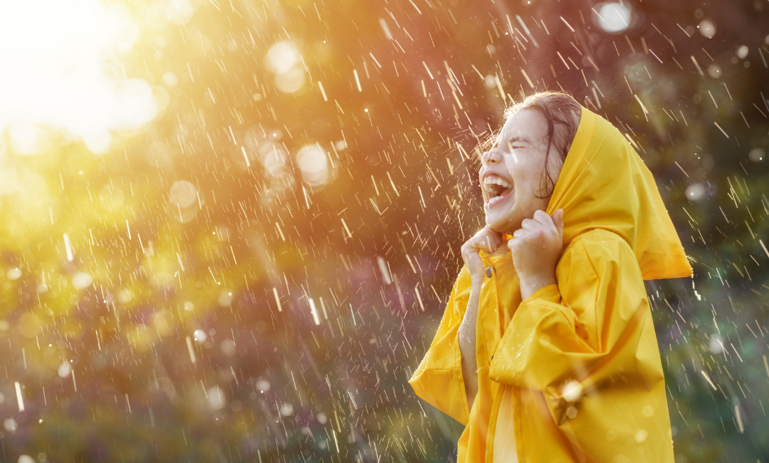 Book: Singing in the Rain