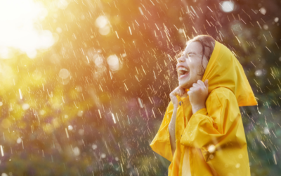 Book: Singing in the Rain
